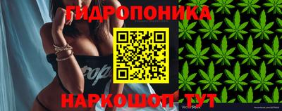 бошки Новозыбков