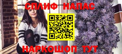 дмт Новокубанск