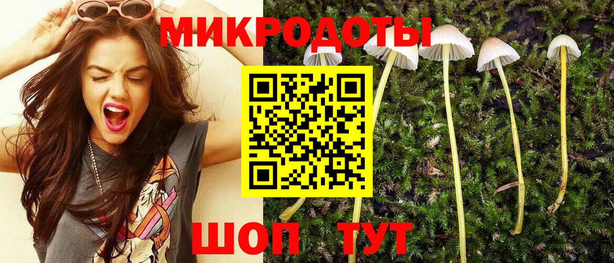 Галлюциногенные грибы MAGIC MUSHROOMS Сургут