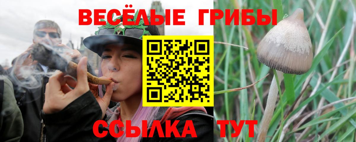 Псилоцибиновые грибы GOLDEN TEACHER  Вход с VPN  Сургут 
